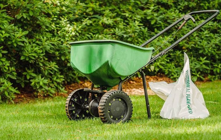 A wheel barrow on a lush lawn