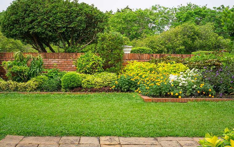 Beautiful green lawn.