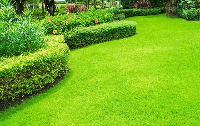 lawn